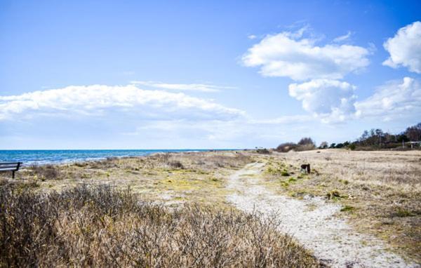 טרלבורג Cosy Cottage By The South Coast מראה חיצוני תמונה